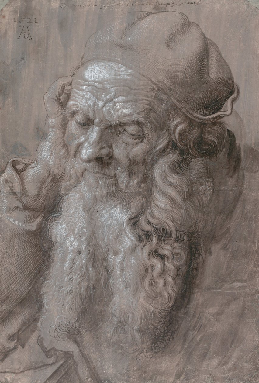 Kopf eines alten Mannes von Albrecht Dürer