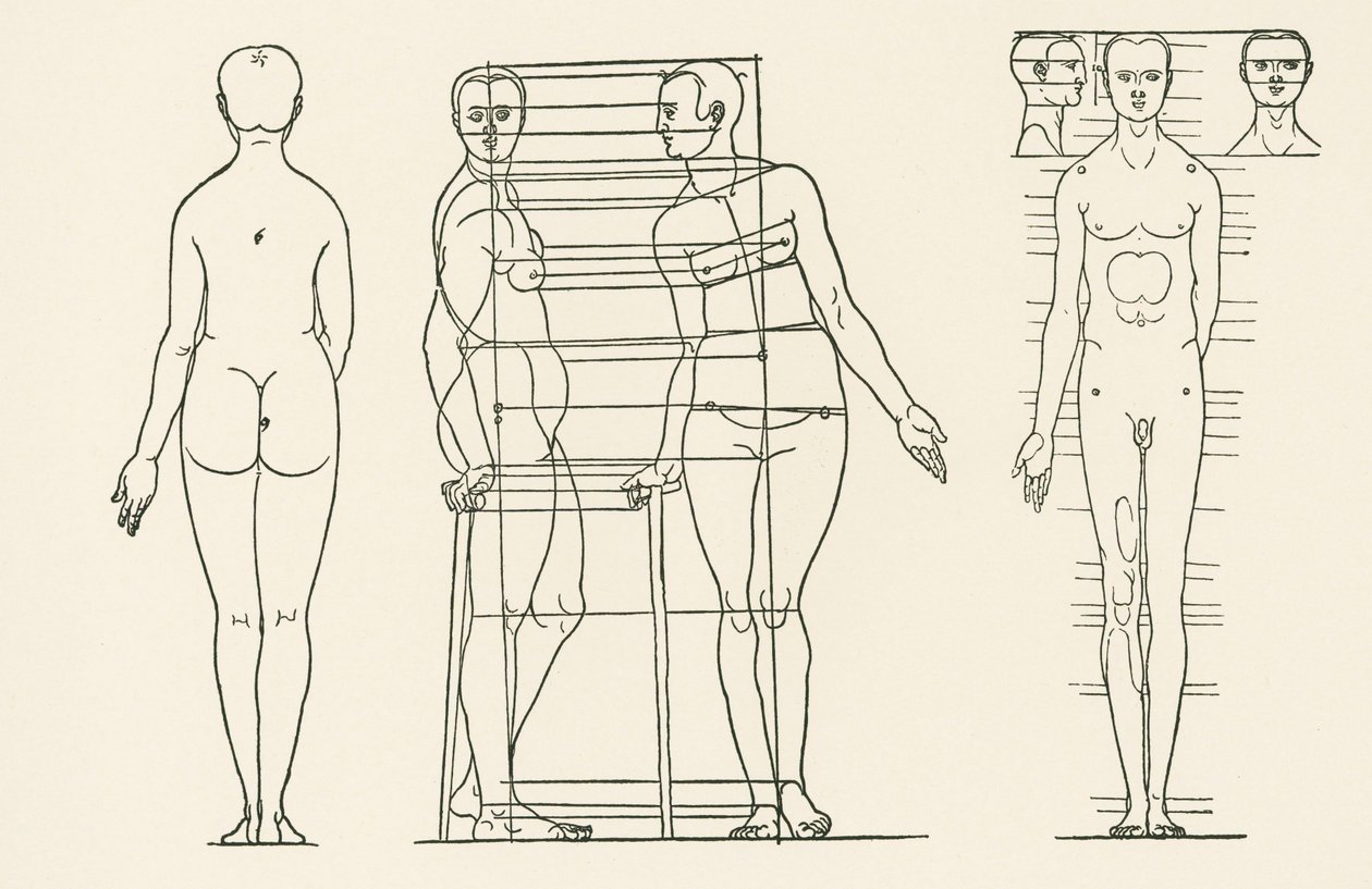 Illustration aus Albrecht Dürers Abhandlung über die Proportionslehre von Albrecht Dürer or Duerer