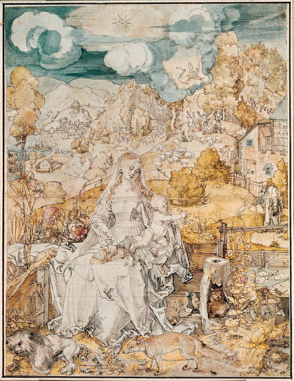 Madonna mit einer Vielzahl von Tieren von Albrecht Dürer or Duerer
