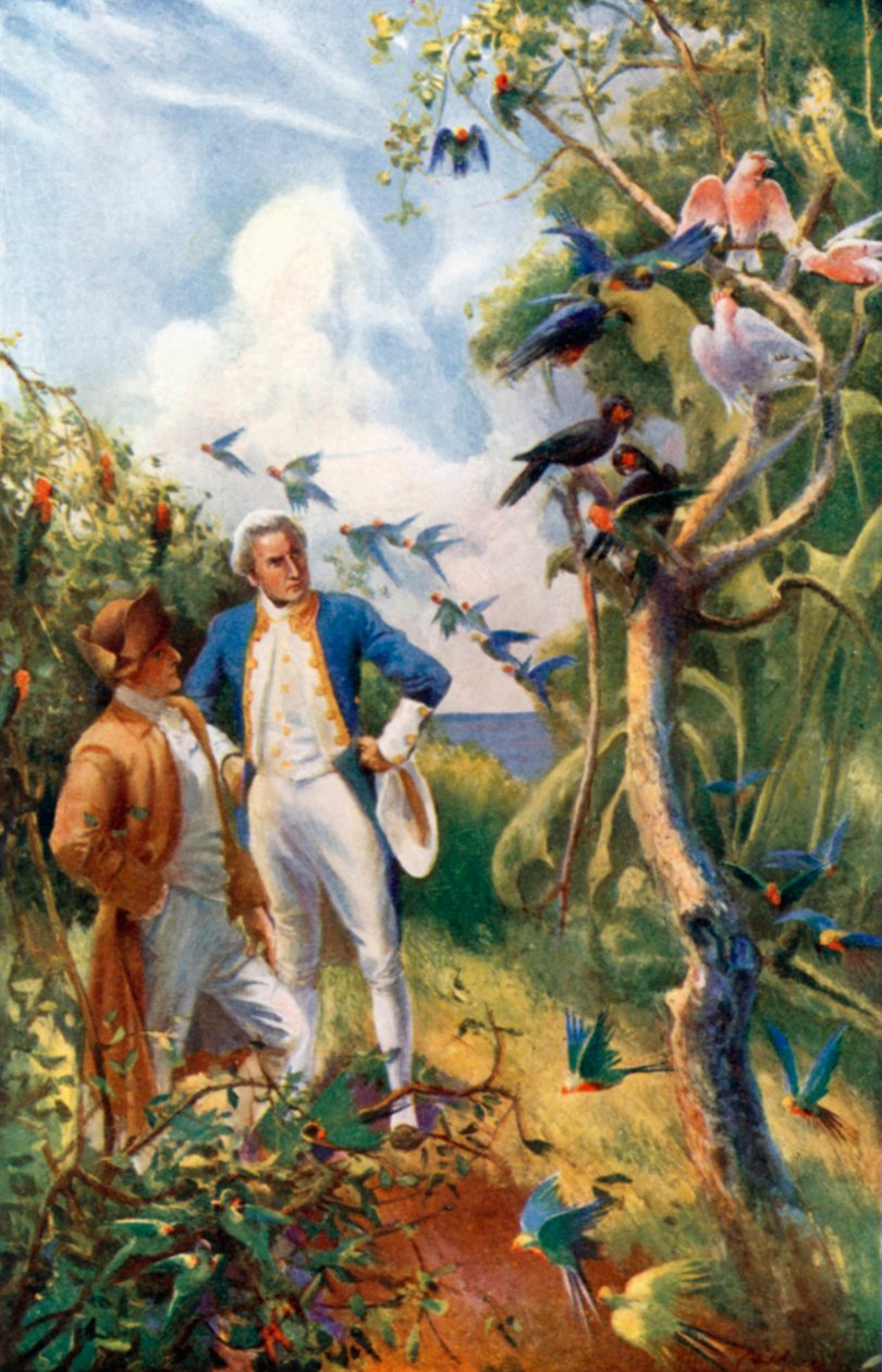 Kapitän Cook in Botany Bay von Alec Ball