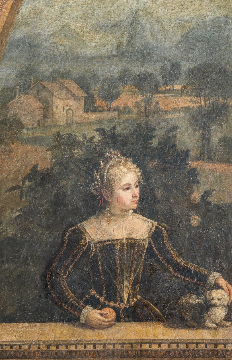 Porträt einer Adligen (Detail) von Alessandro Bonvicino Moretto