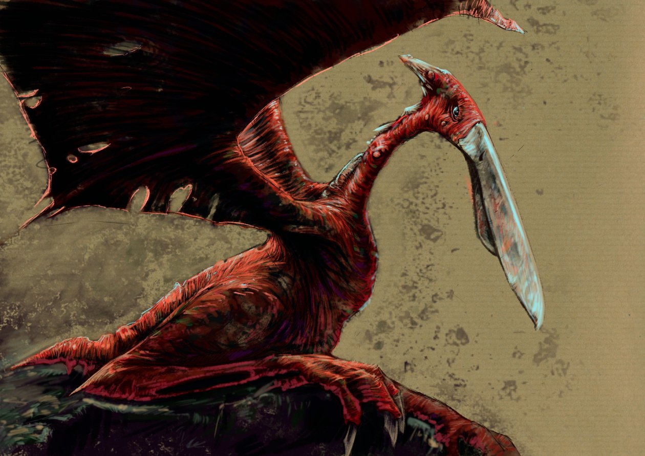 Fantastische Monster und Kreaturen, Kryptozoologie: Darstellung eines Kongamato, einer fliegenden pterosaurierähnlichen Kreatur, die in den Jiundu-Sümpfen des Mwinilunga-Distrikts in Westsambia gesehen worden sein soll - Zeichnung von Alessandro Lonati, 20 von Alessandro Lonati