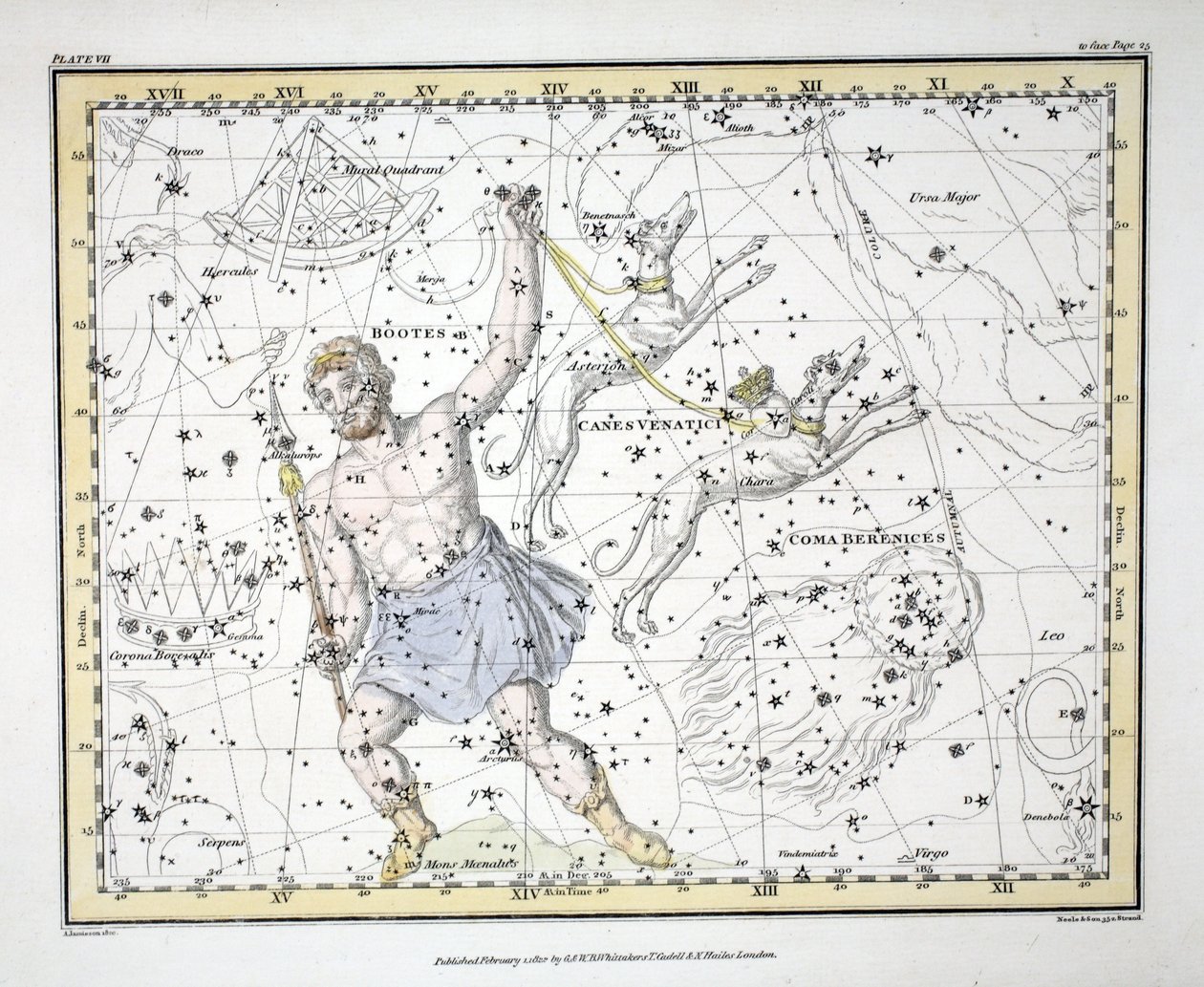 Die Sternbilder (Tafel VII) Bootes und Mons Maenalus, Asterion und Chara oder Canes Venatici, Coma Berenices, aus 