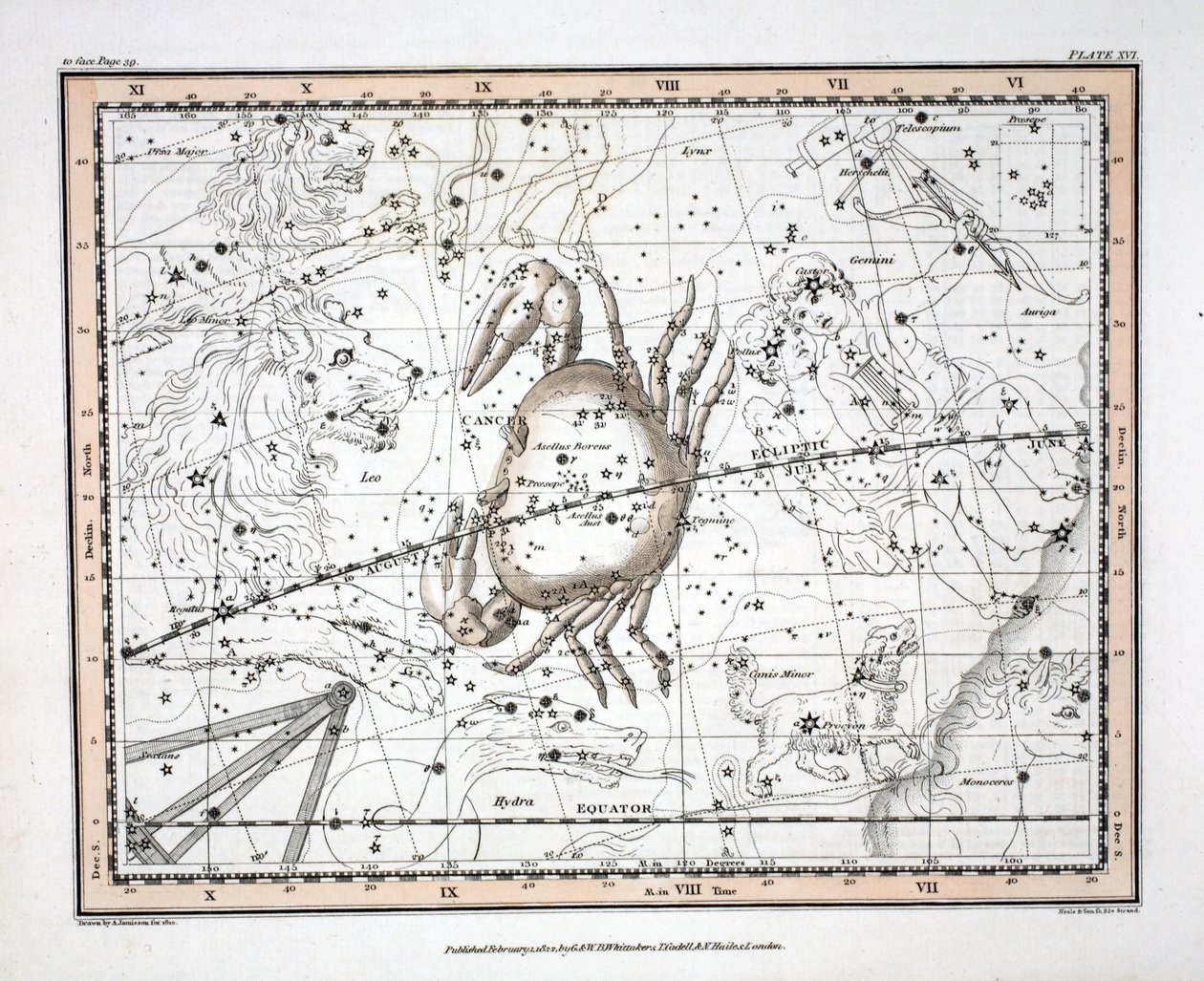Die Sternbilder (Tafel XVI) Krebs, aus 