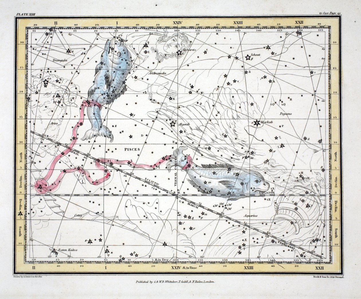Die Sternbilder (Tafel XXII) Fische, aus 