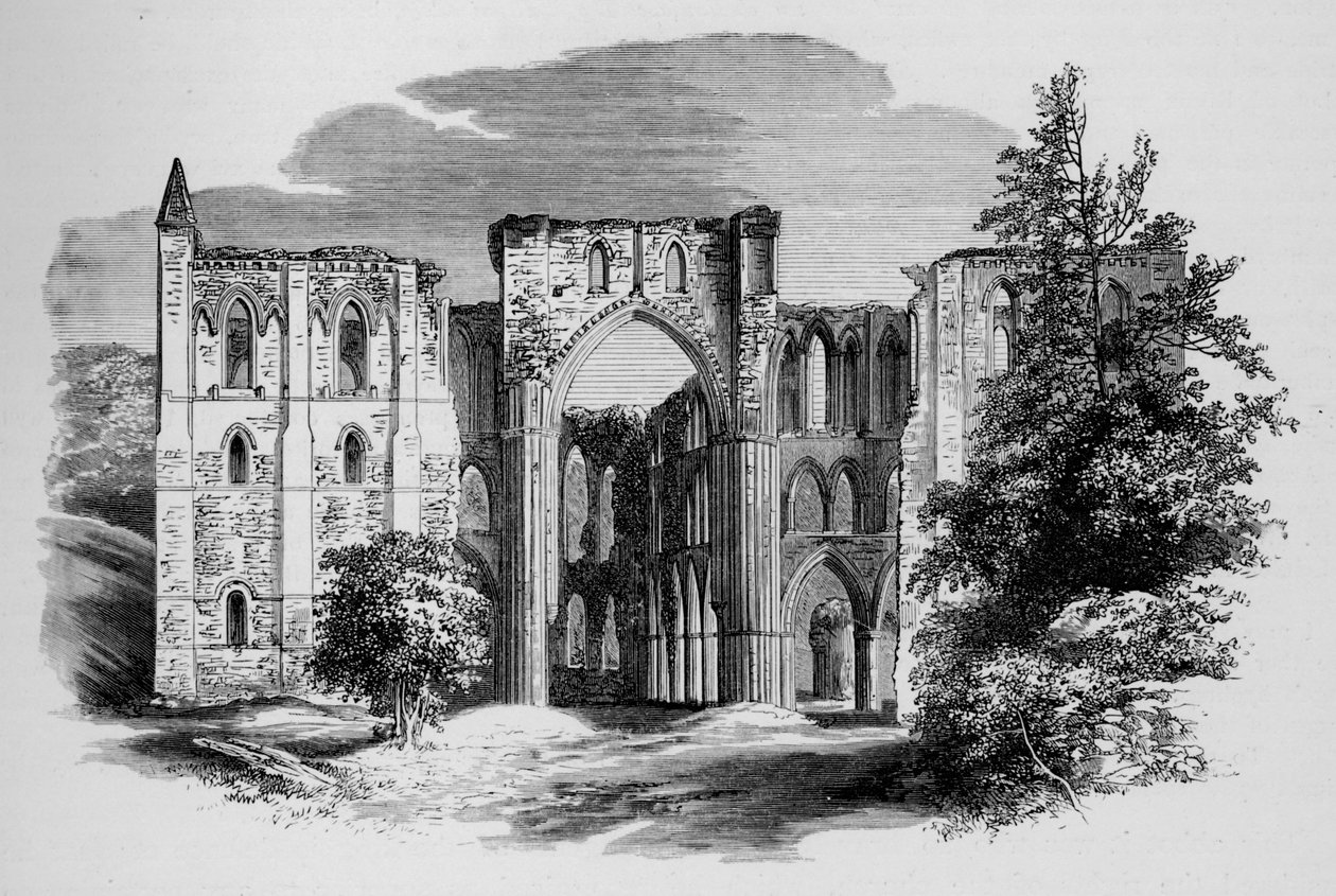 Chor, von Norden, Rievaulx Abbey von Alexander Francis Lydon