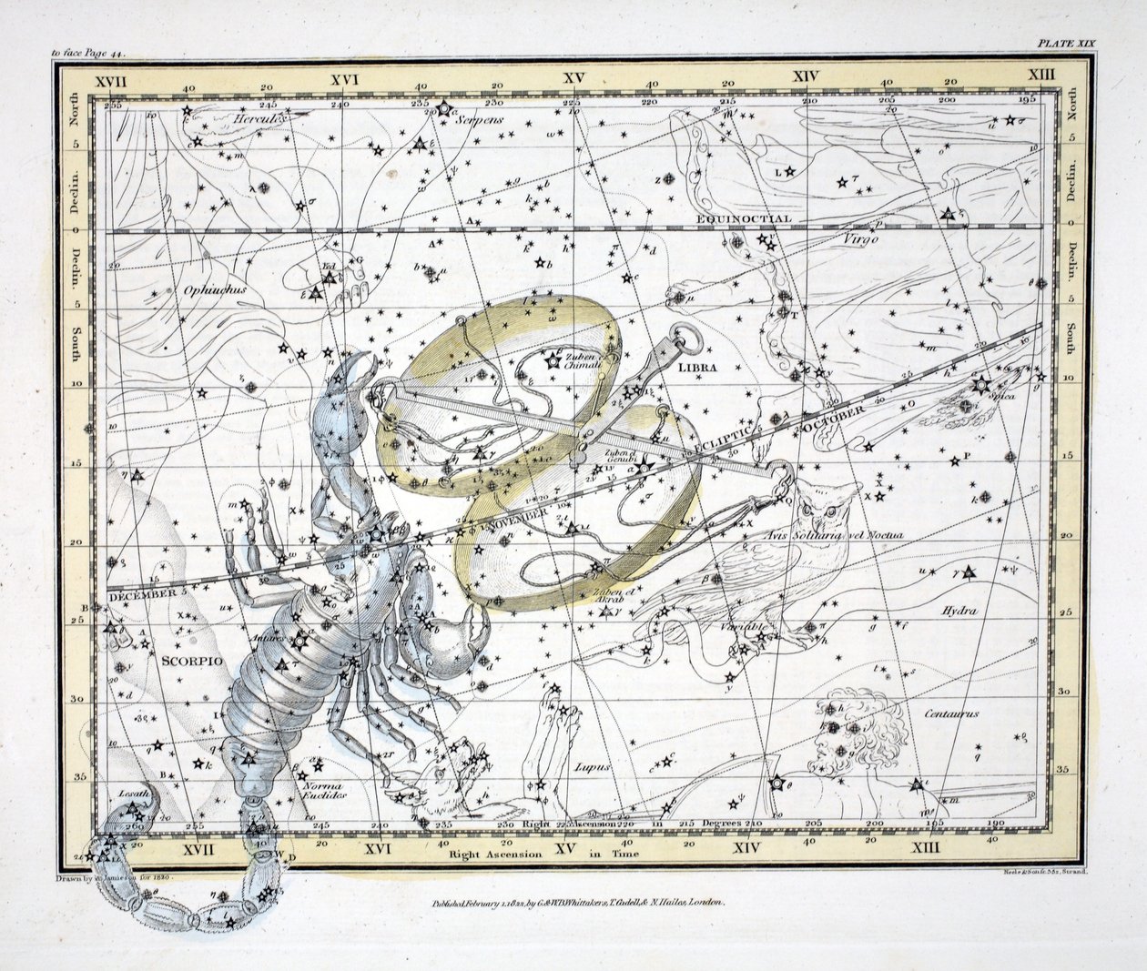 Die Sternbilder (Tafel XIX) Waage und Skorpion, aus 
