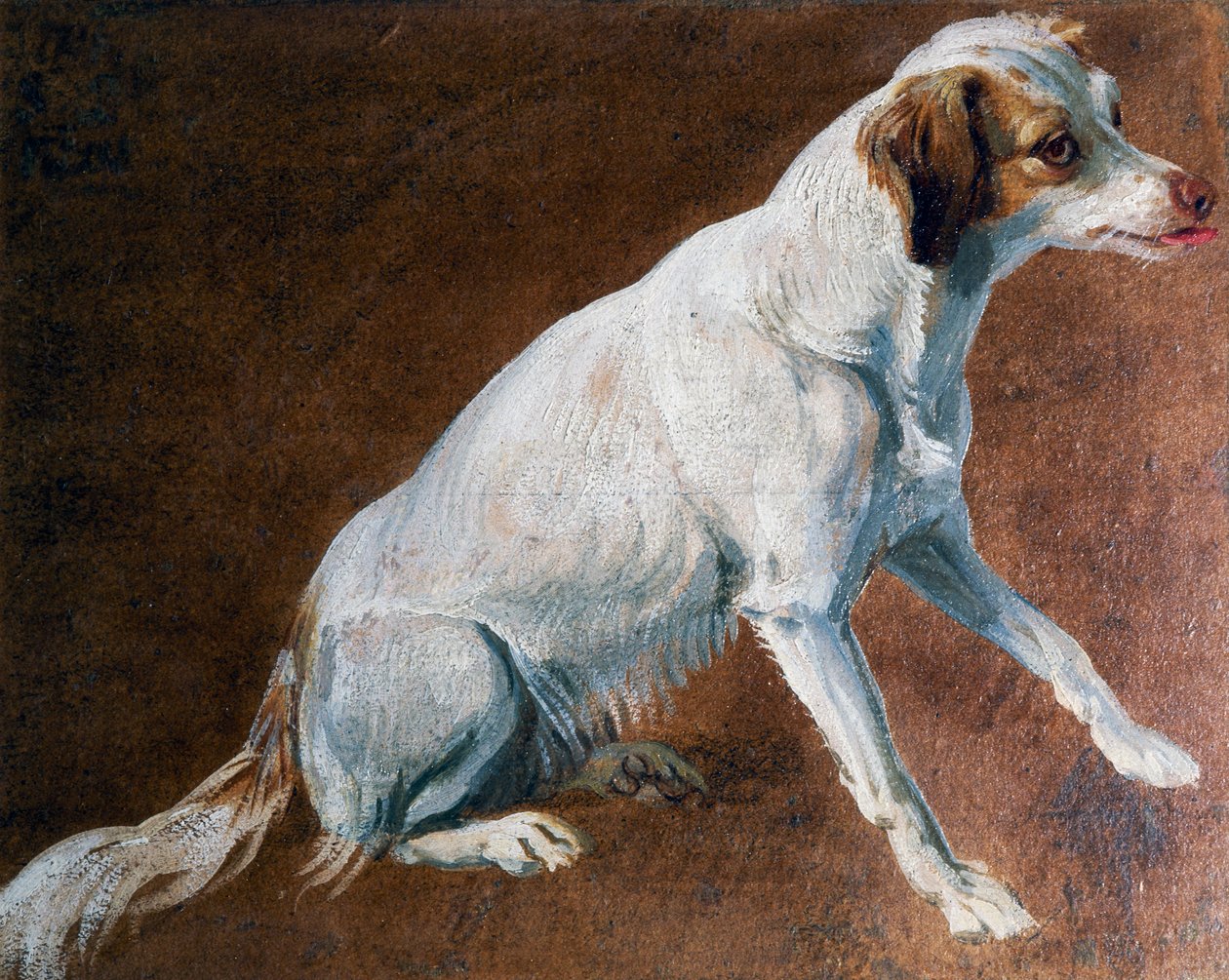 Französischer Spaniel-Vorfahre von Alexandre Francois Desportes