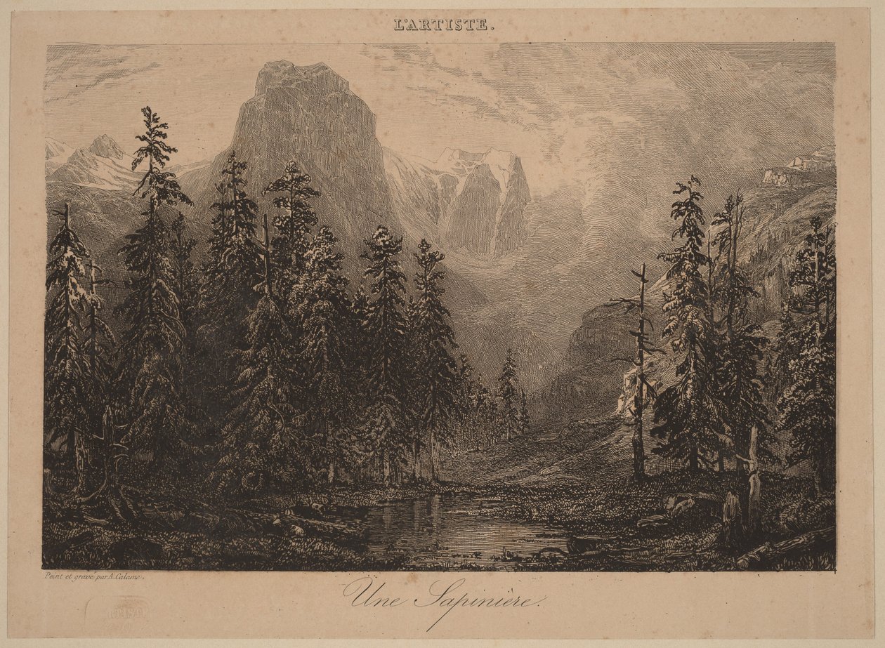 Ein Tannenwald von Alexandre Calame