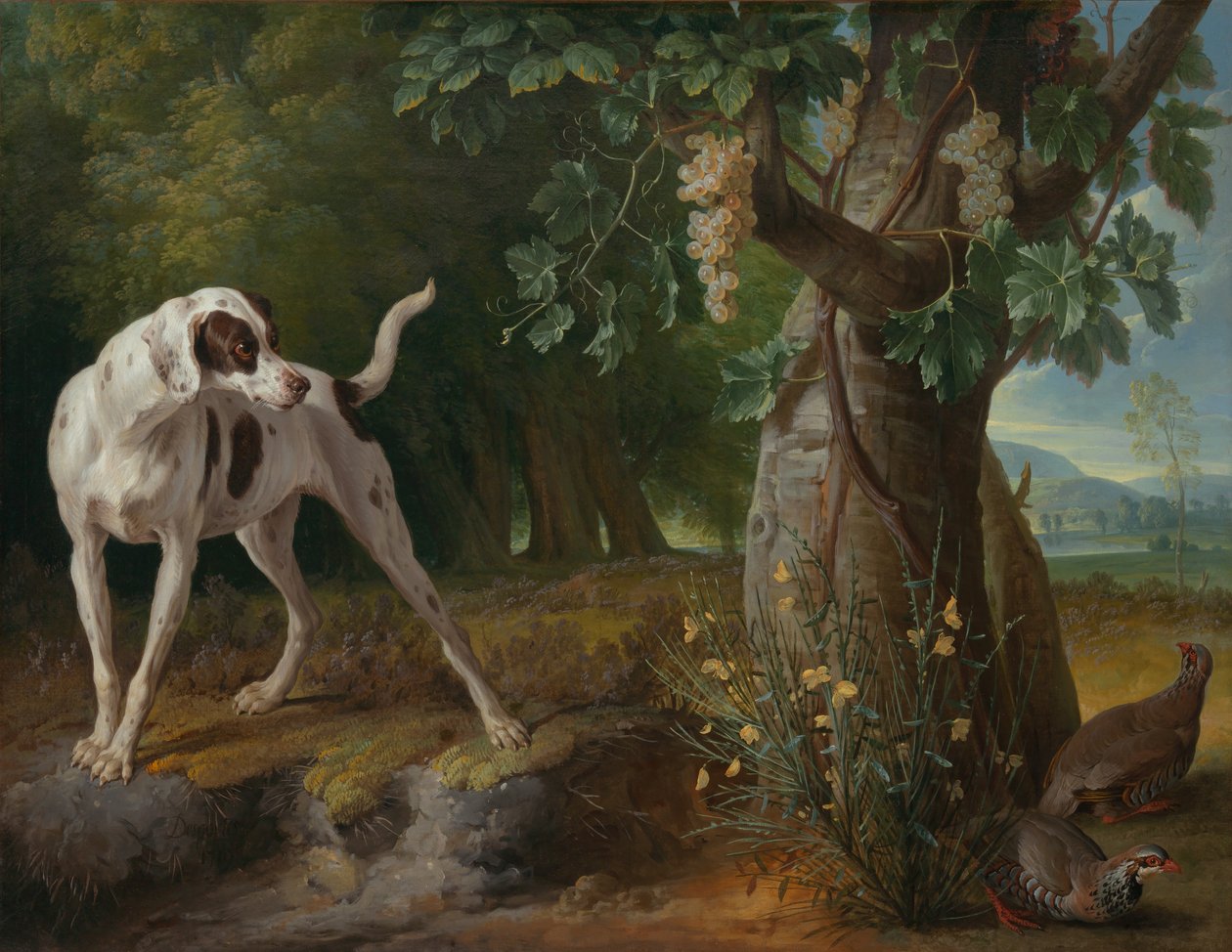 Hund zeigt Rebhühner in einer Landschaft an von Alexandre Francois Desportes