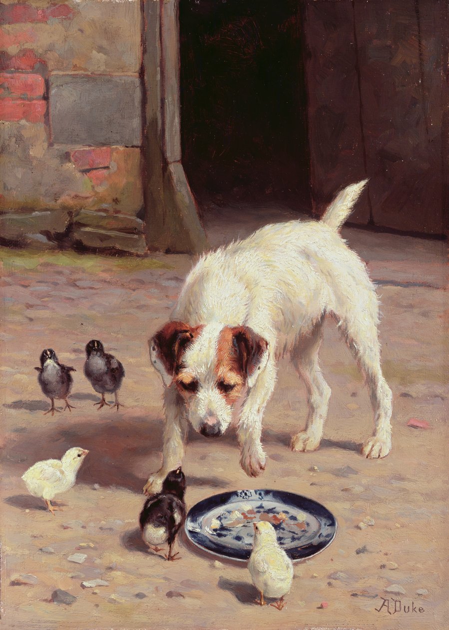 Konfrontation von Alfred Duke