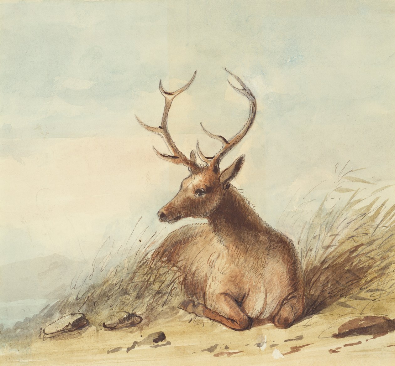 Elch, Rocky Mountains, ca. 1837 von Alfred Jacob Miller