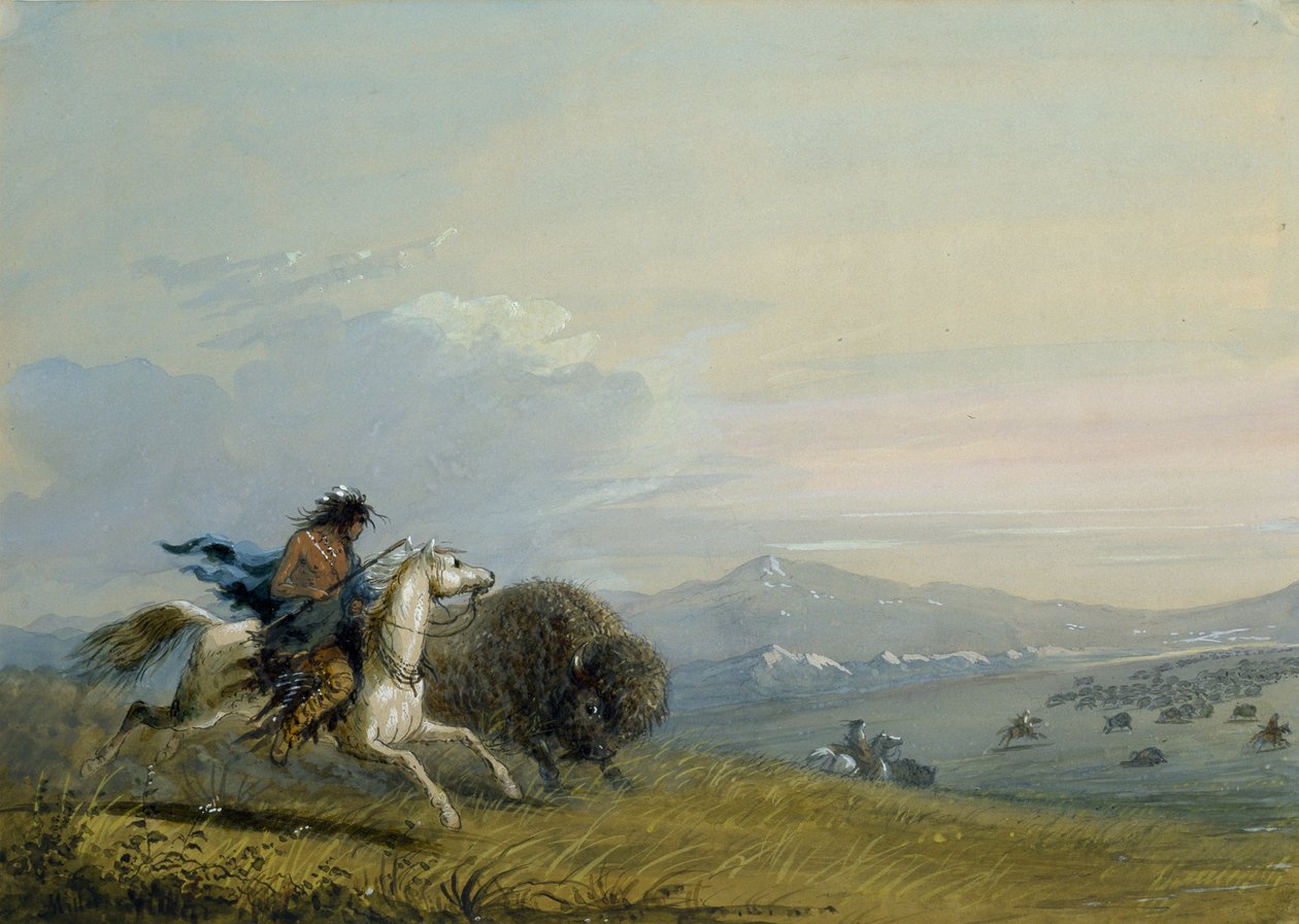 Pawnee jagt Büffel von Alfred Jacob Miller