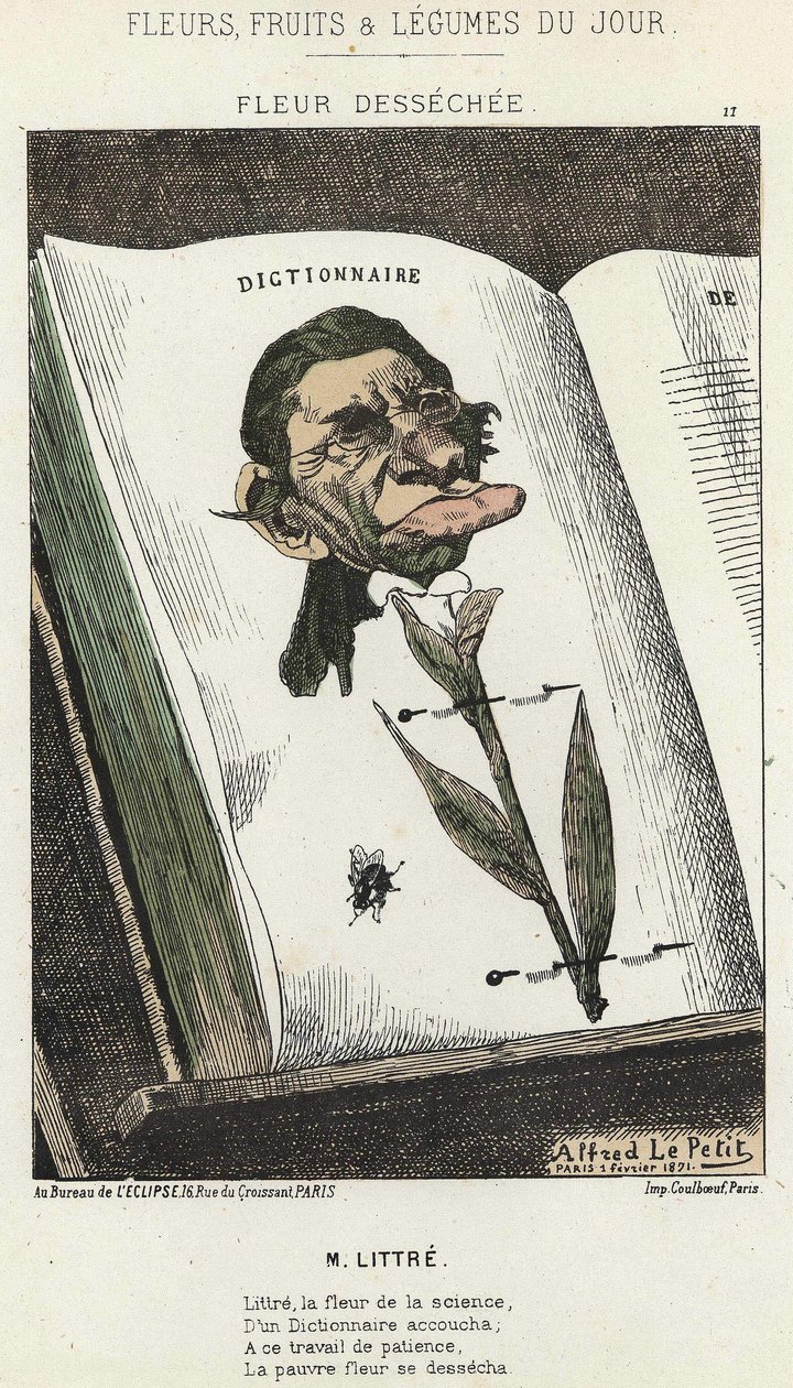 Verwelkte Blume: Karikatur auf Littré - Illustration vom 01.02.1871 in „Blumen, Früchte und Gemüse des Tages“ von Alfred Le Petit