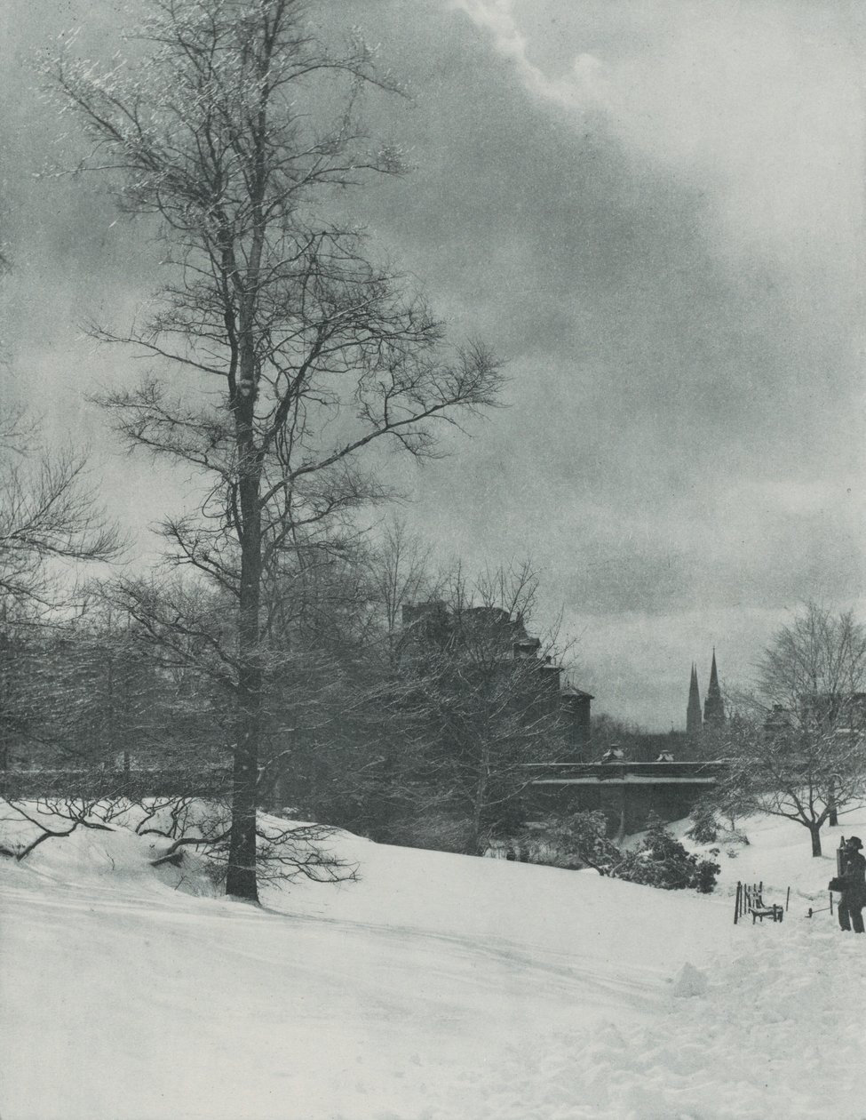 Ein Winterhimmel - Central Park von Alfred Stieglitz