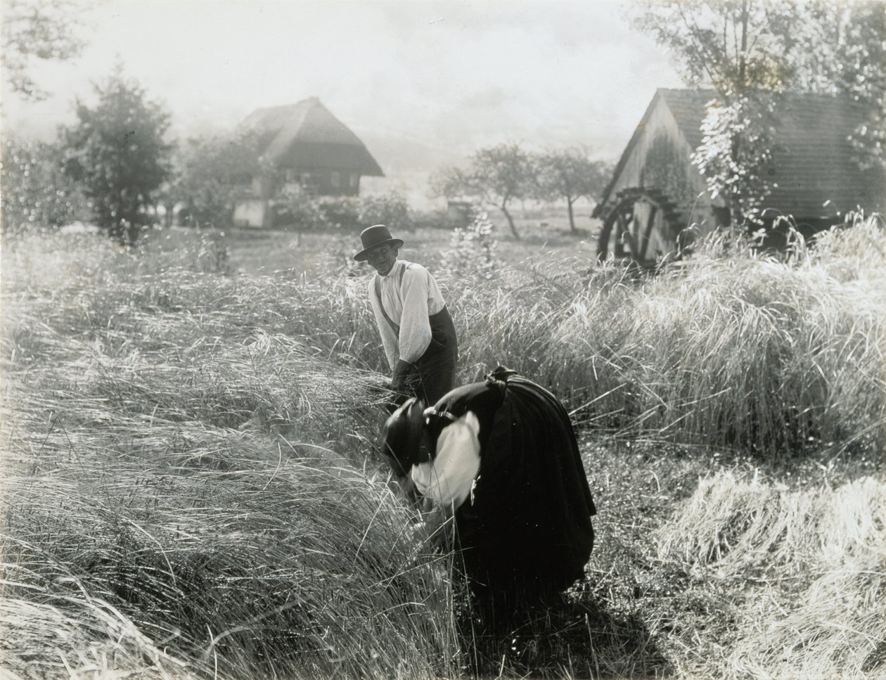 Früher Morgen von Alfred Stieglitz
