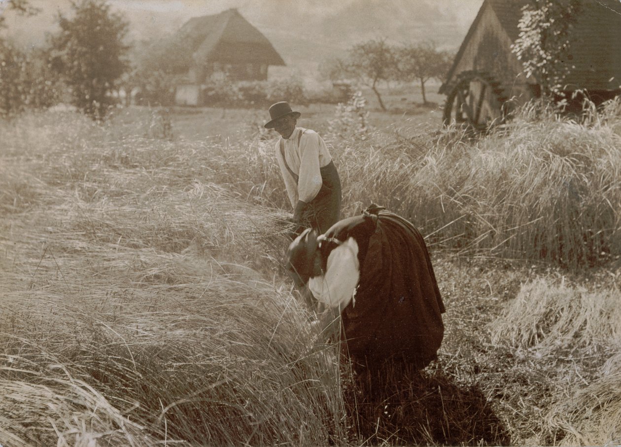 Früher Morgen von Alfred Stieglitz