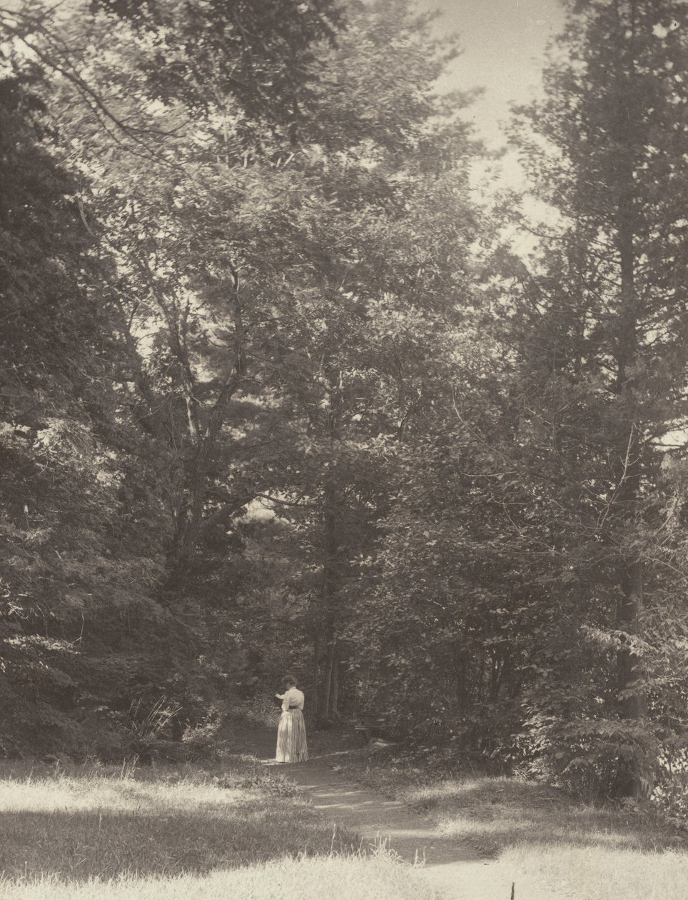 "Hedwigsweg" II, Lake George von Alfred Stieglitz