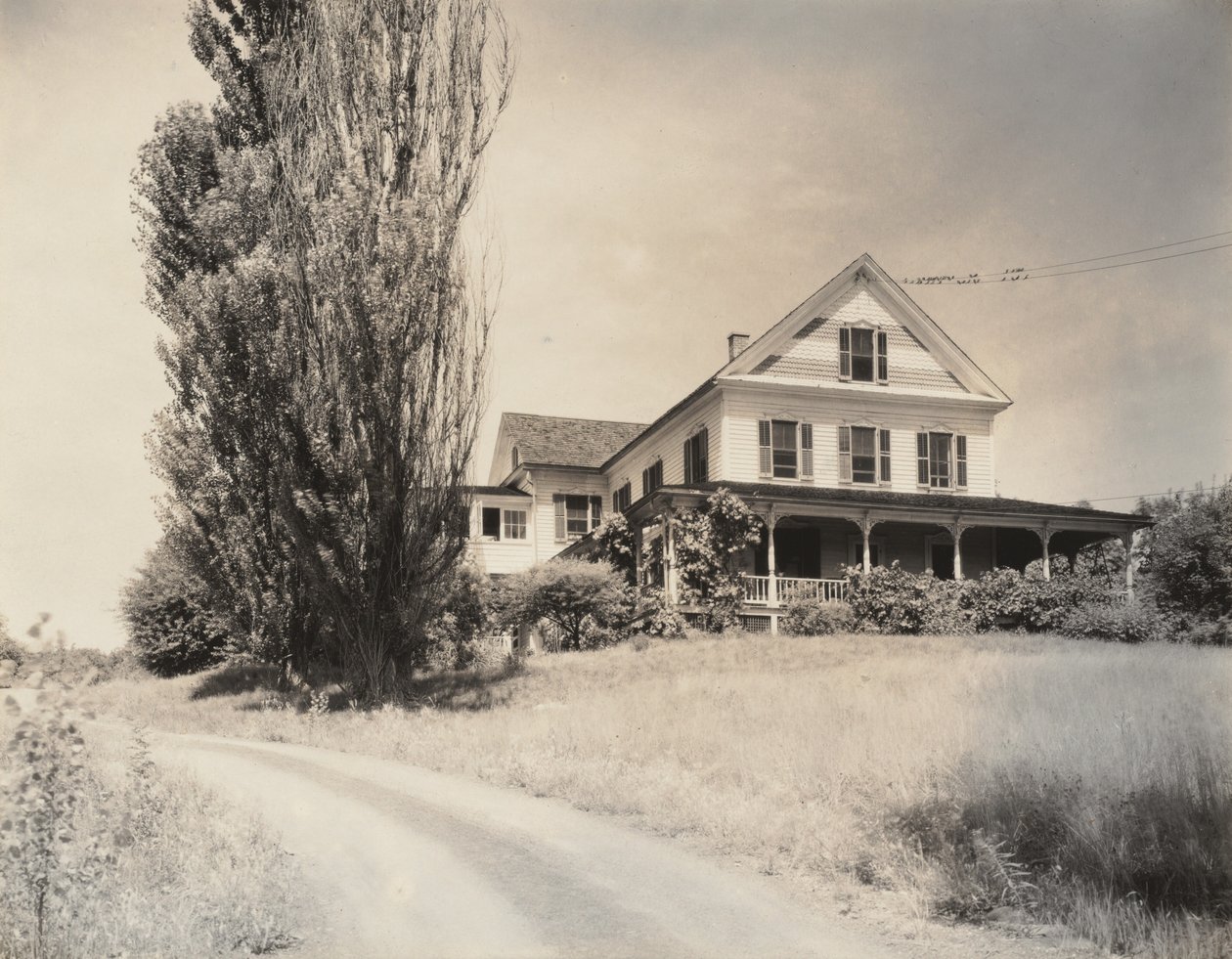 Haus und Pappeln, Lake George von Alfred Stieglitz