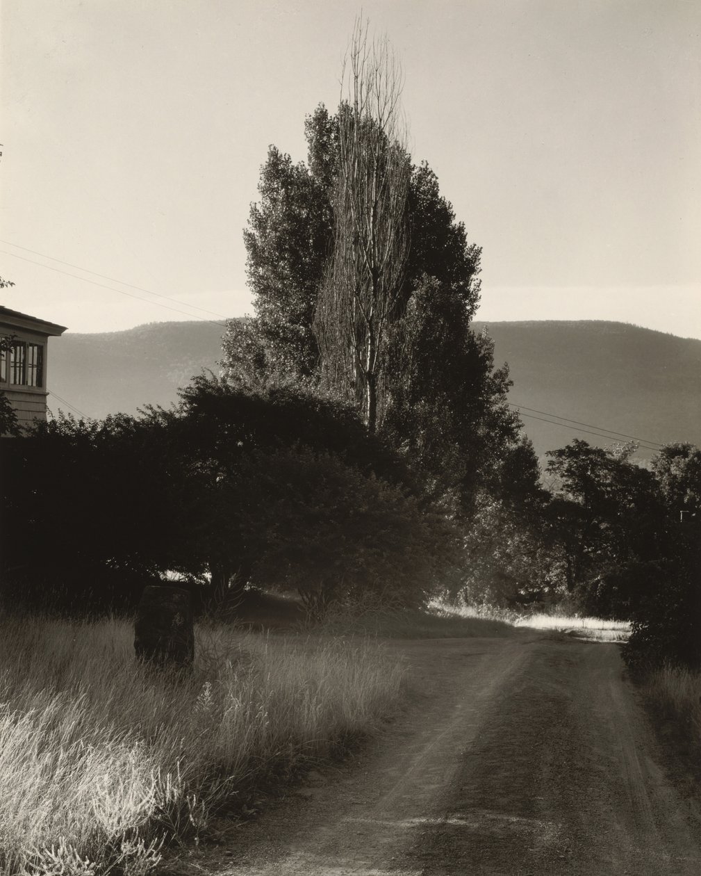 Haus und Pappeln, Lake George von Alfred Stieglitz