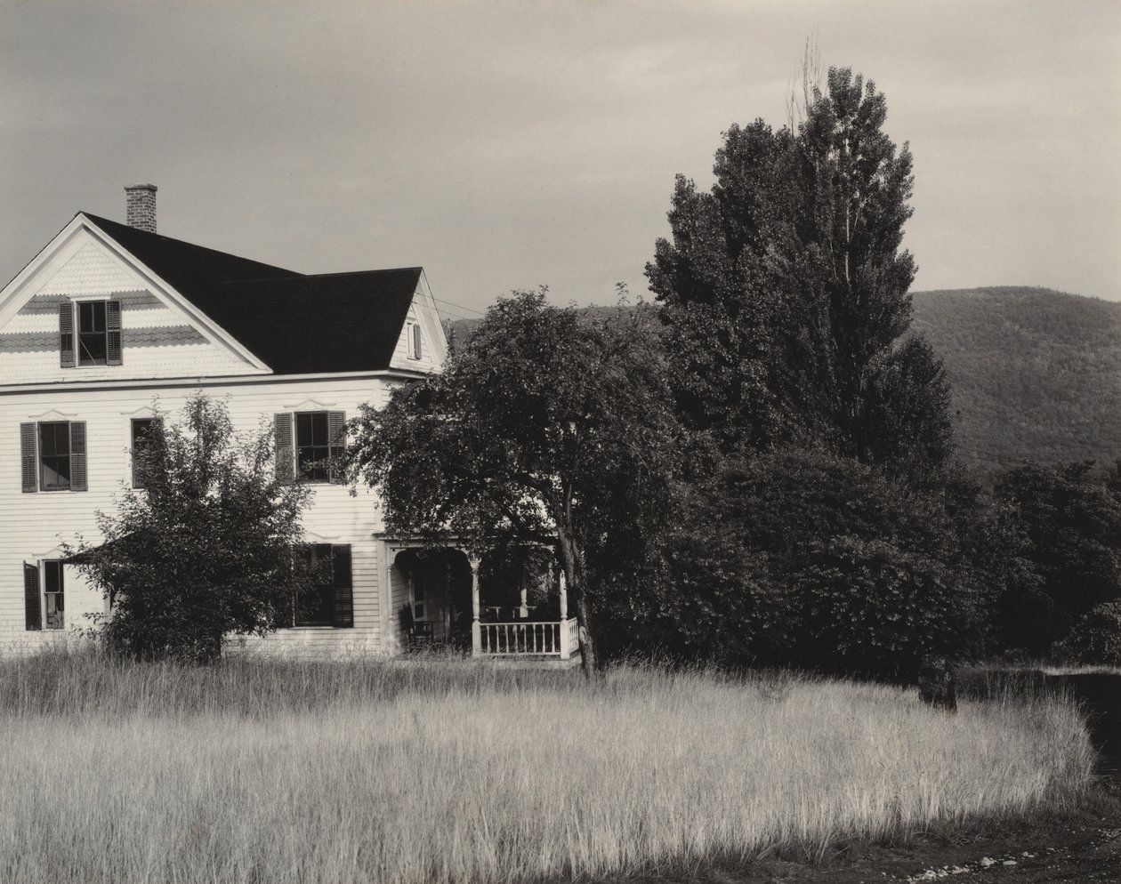 Haus und Bäume, Lake George von Alfred Stieglitz
