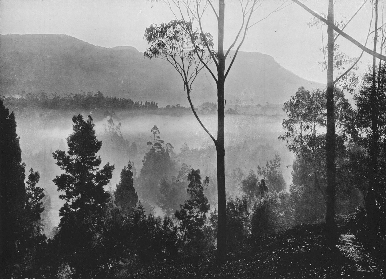 Der frühe Morgennebel steigt in Nuwara Eliya, ca. 1890, 1910 von Alfred William Amandus Plate