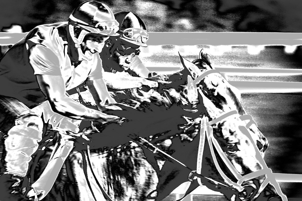 Saratogoa Trials, 2015 von Alice Gur-Arie