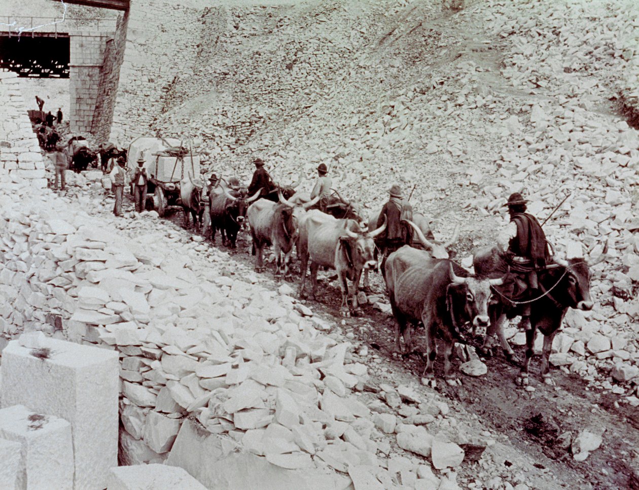Szene, die den Transport von Marmorblöcken aus einem Steinbruch in Carrara zeigt. Der Wagen wird von zehn Ochsen gezogen von Fratelli Alinari