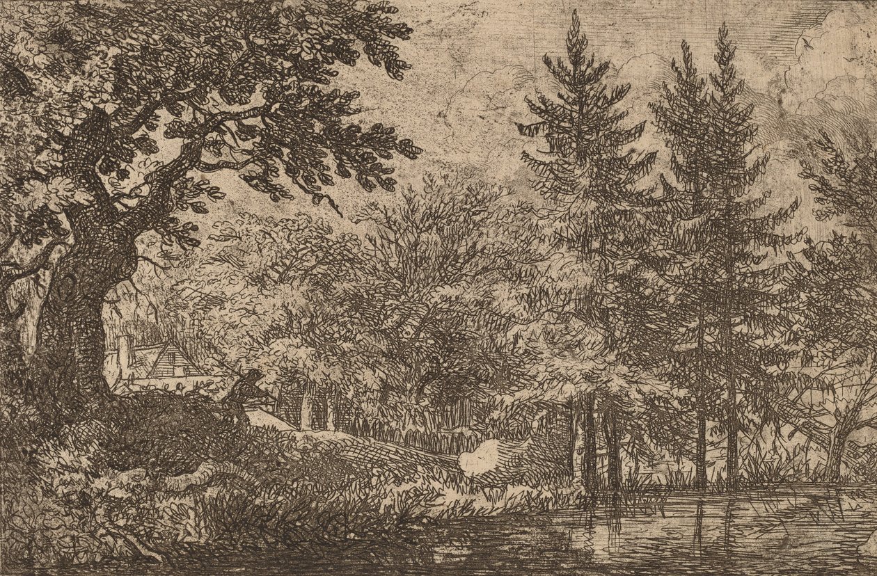 Tannen am Wasser, wahrscheinlich ca. 1645-1656 von Allart van Everdingen
