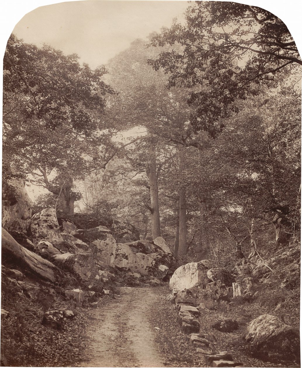 Fontainebleau, um 1860er von Alphonse Francois Jeanrenaud