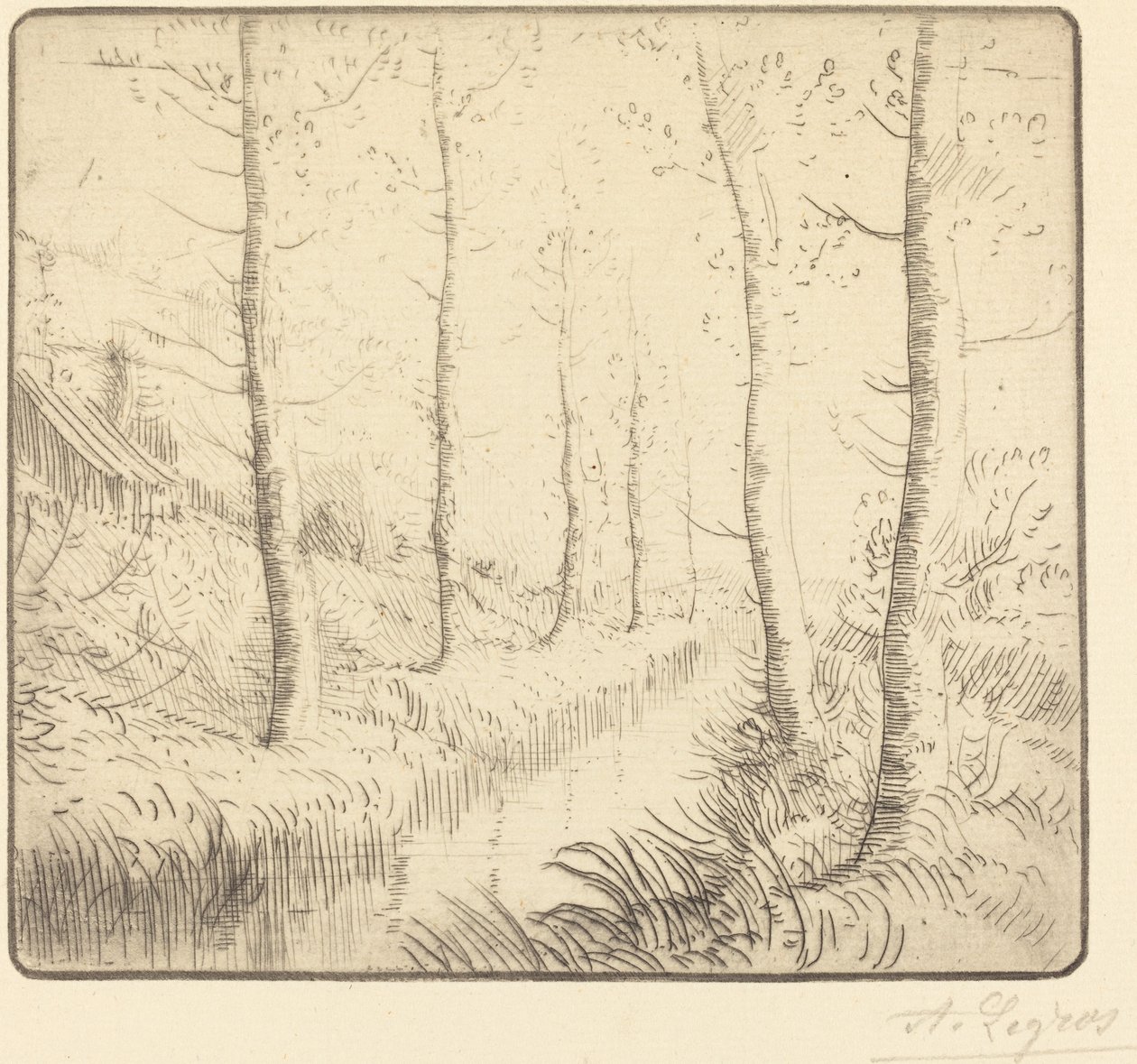 Birken am Wasser von Alphonse Legros