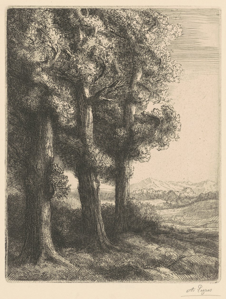 Ecke eines Waldes von Alphonse Legros