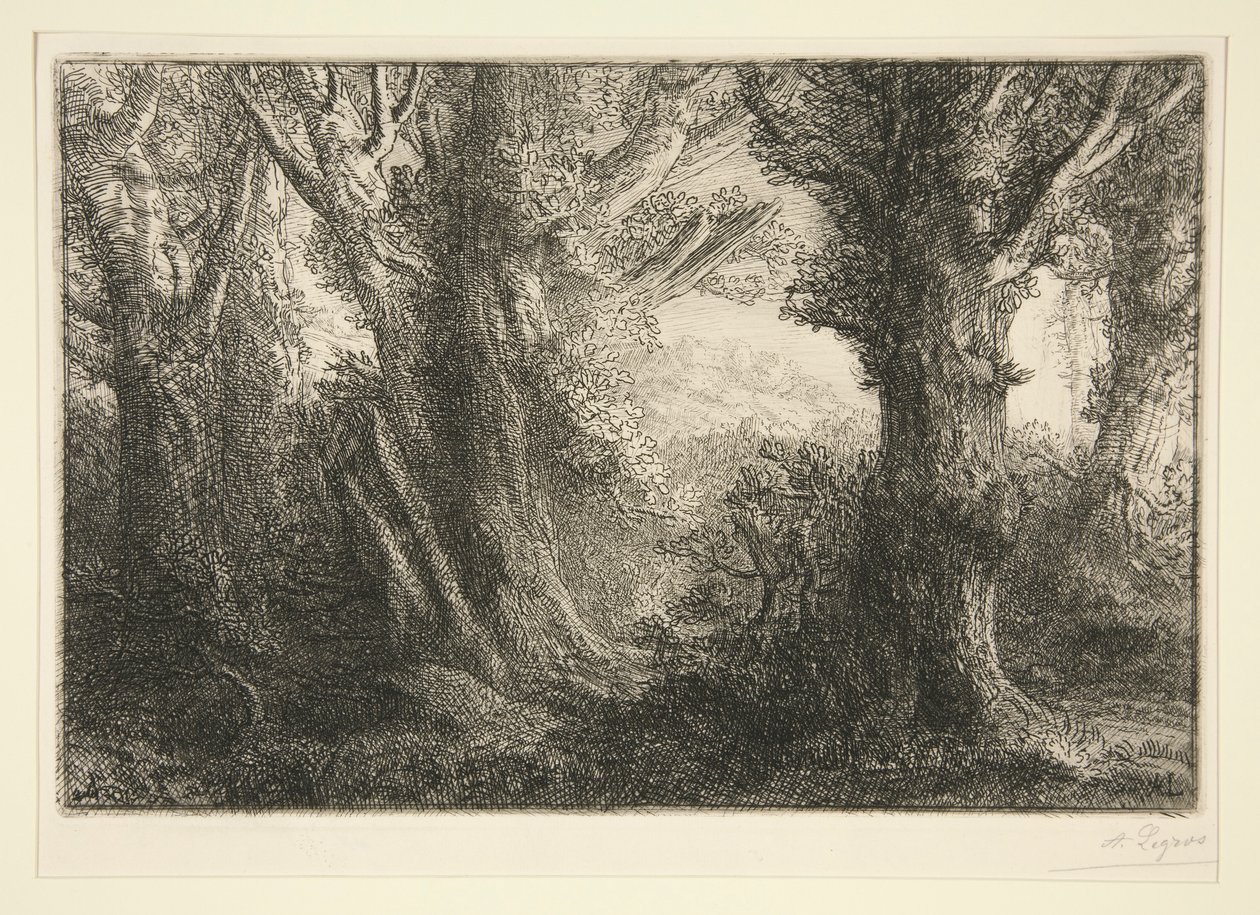 Im Wald von Conteville von Alphonse Legros