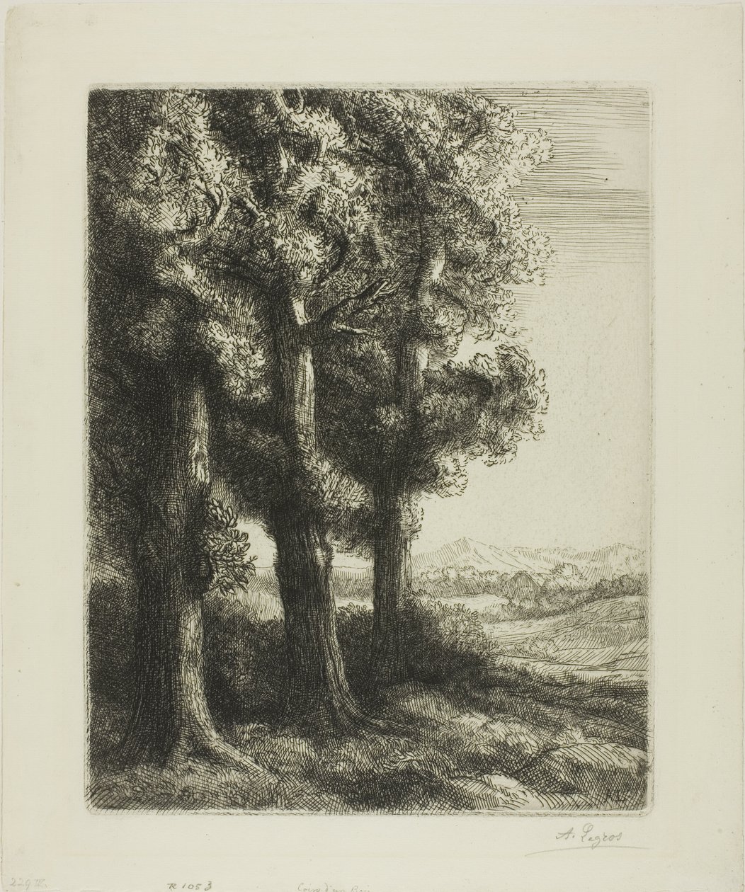 Waldrand von Alphonse Legros
