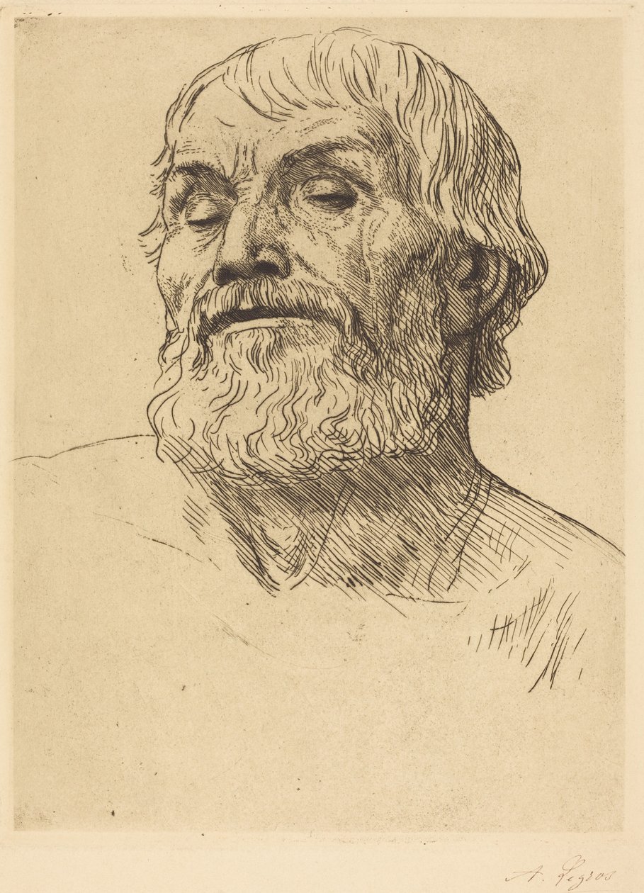 Kopf eines Mannes von Alphonse Legros