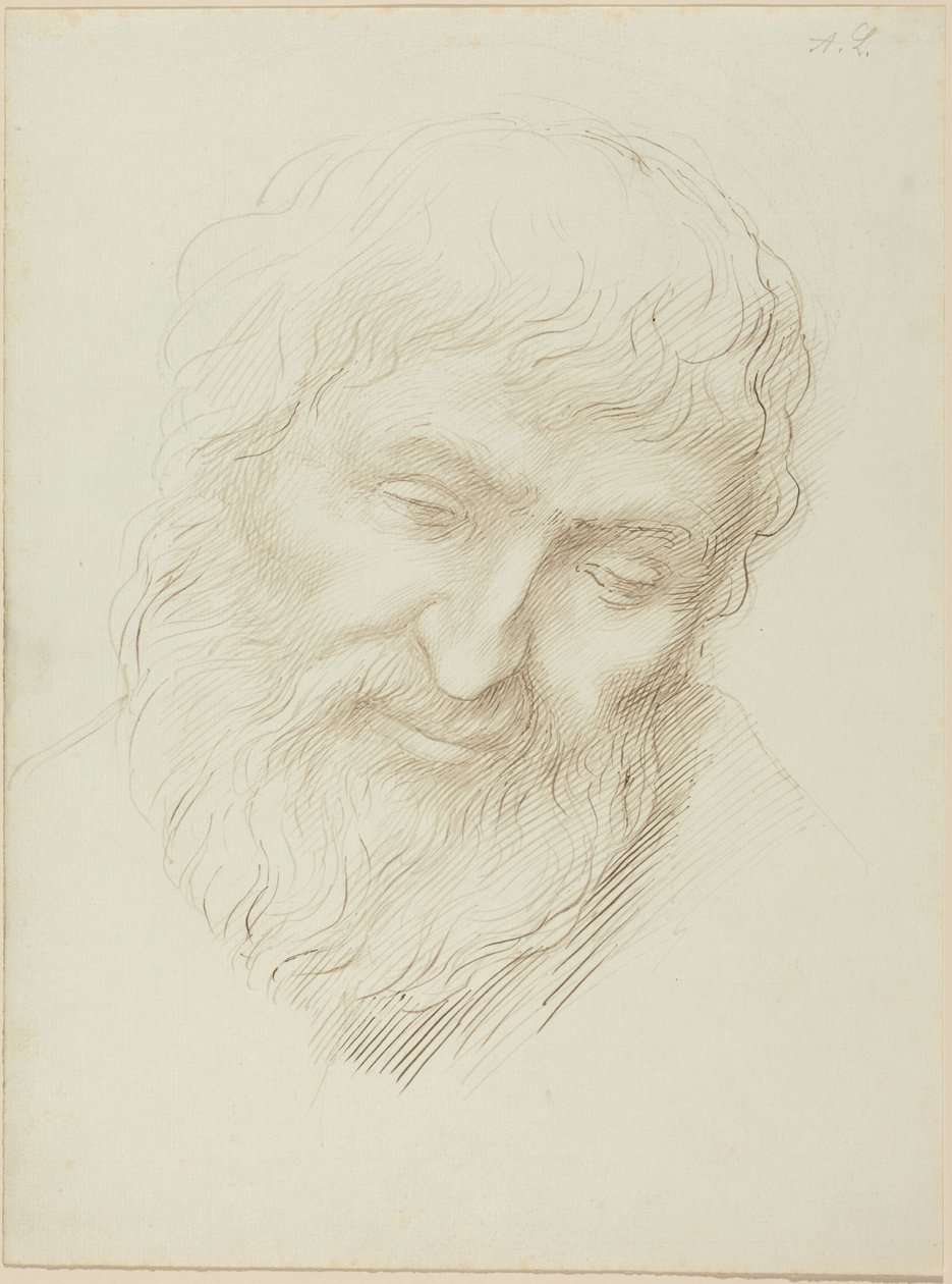 Kopf eines Mannes von Alphonse Legros