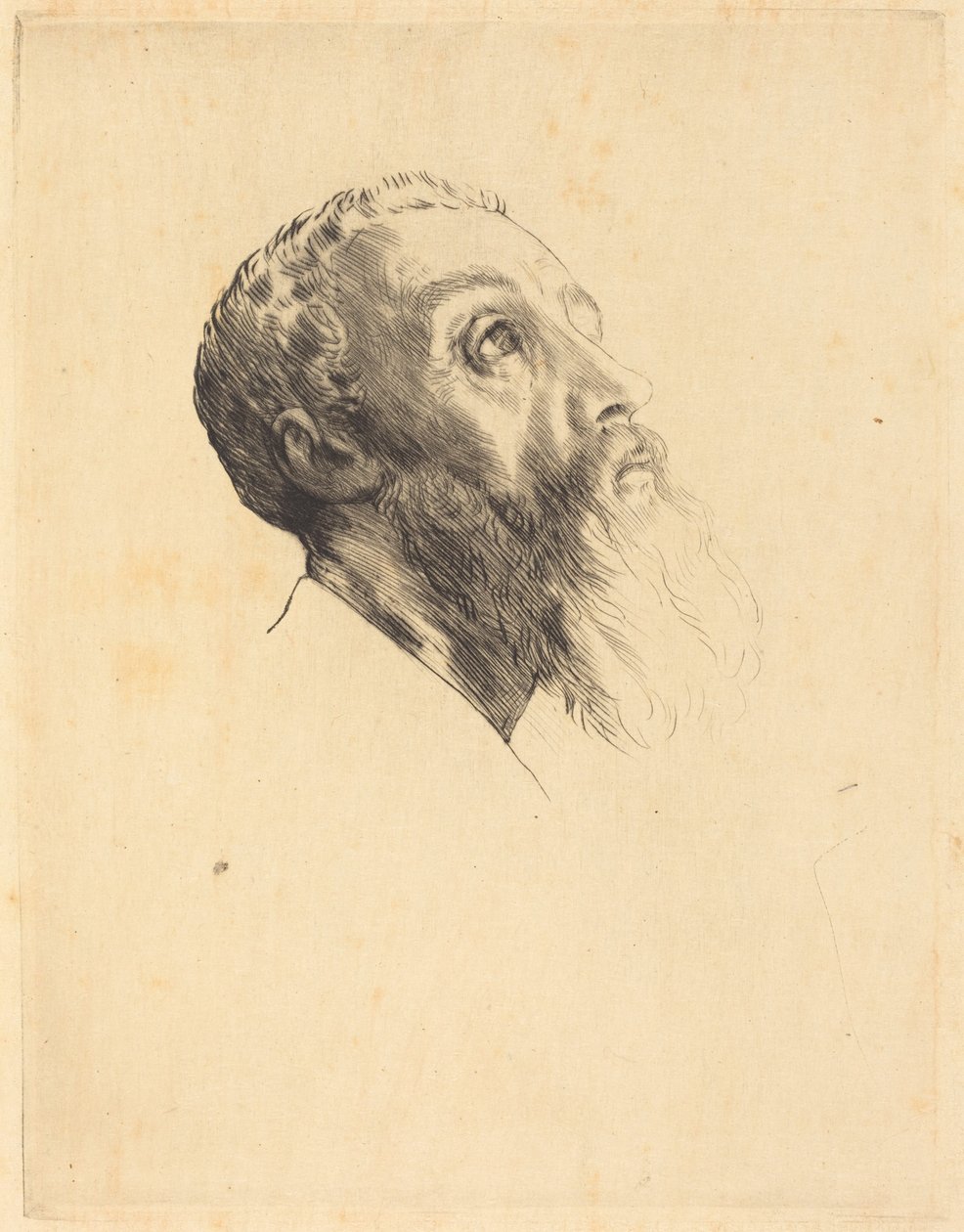 Kopf eines Modells von Alphonse Legros