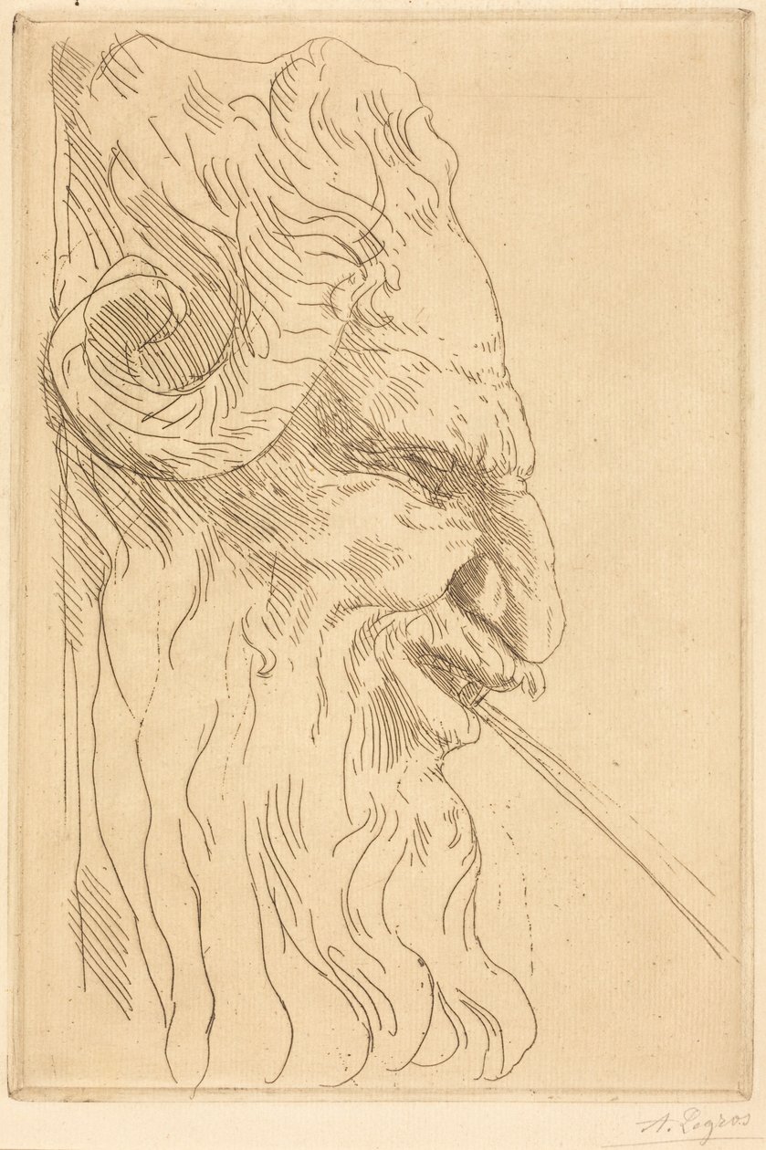 Kopf eines Satyrs von Alphonse Legros