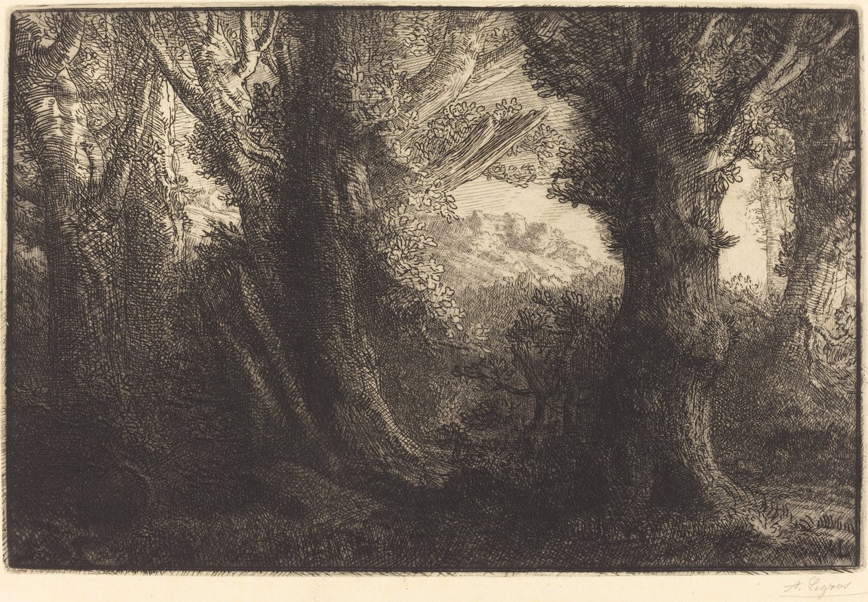 Im Wald von Conteville (Dans la forêt de Conteville) von Alphonse Legros