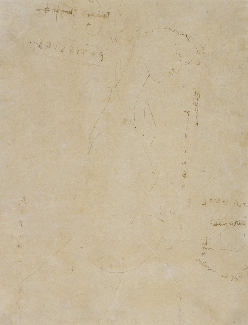 Skizze von Minnie Pinniken in der Konditorei von Amedeo Modigliani
