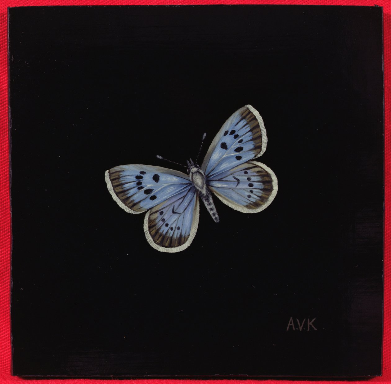 Großer Bläuling, 2000 von Amelia Kleiser