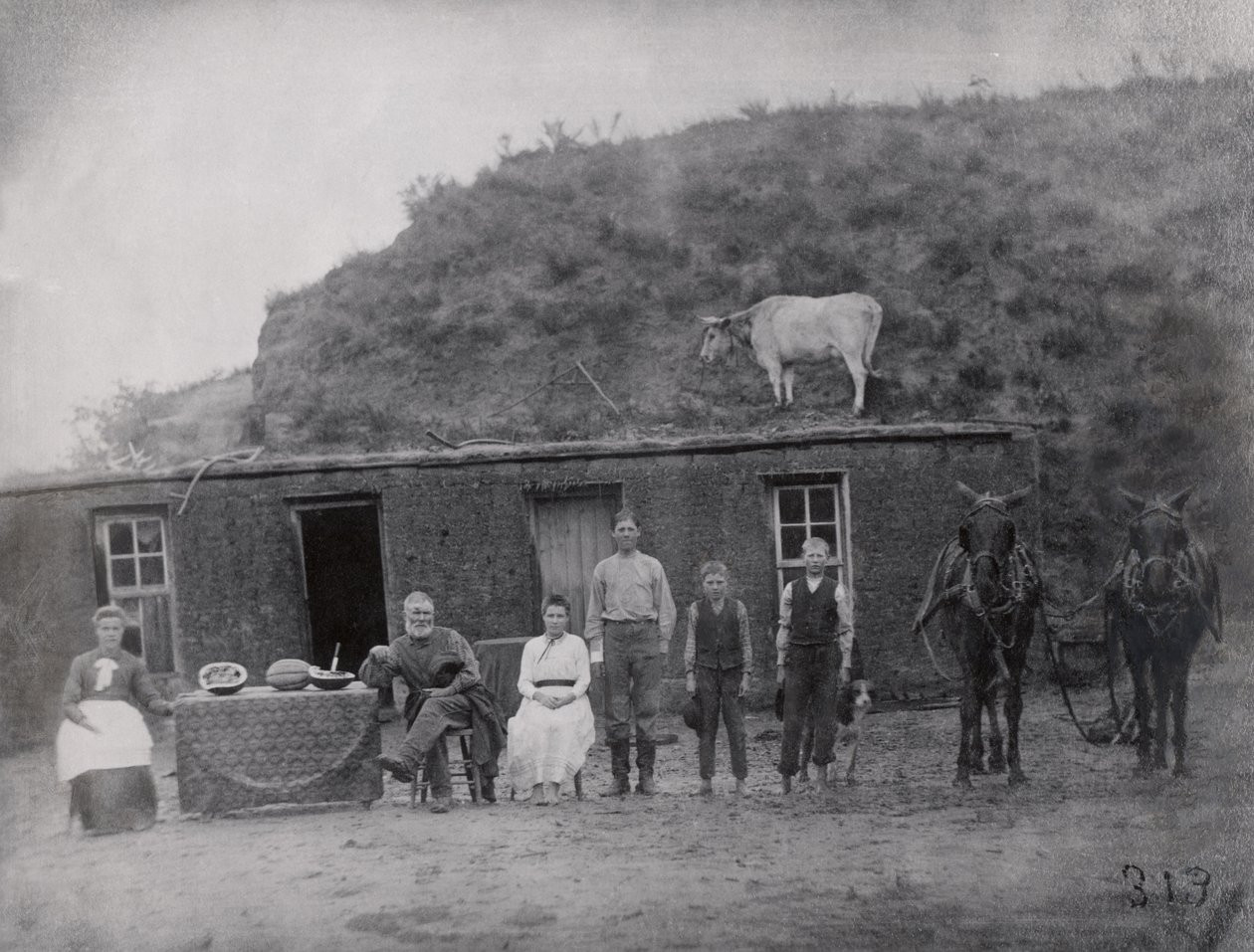 Amerikanische Pionierfamilie vor ihrem Haus von American Photographer
