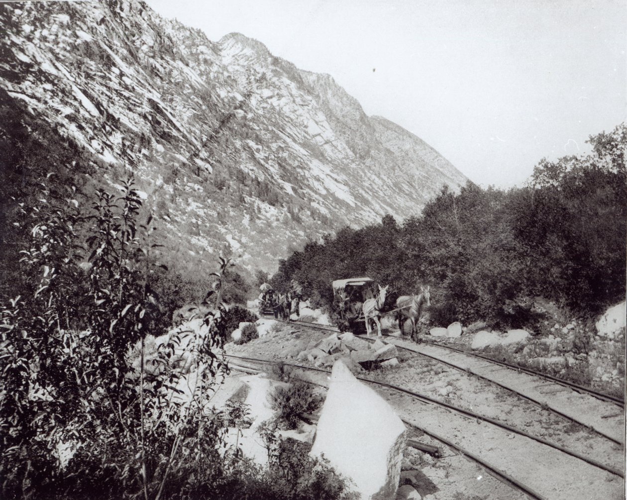 Maultierbahn in Nordamerika, späte 19. Jahrhundert von American Photographer