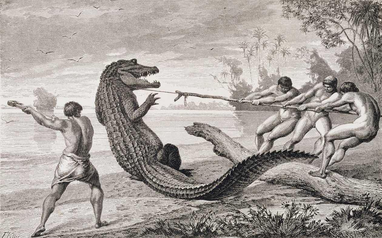 Einen Alligator mit dem Lasso fangen, aus 