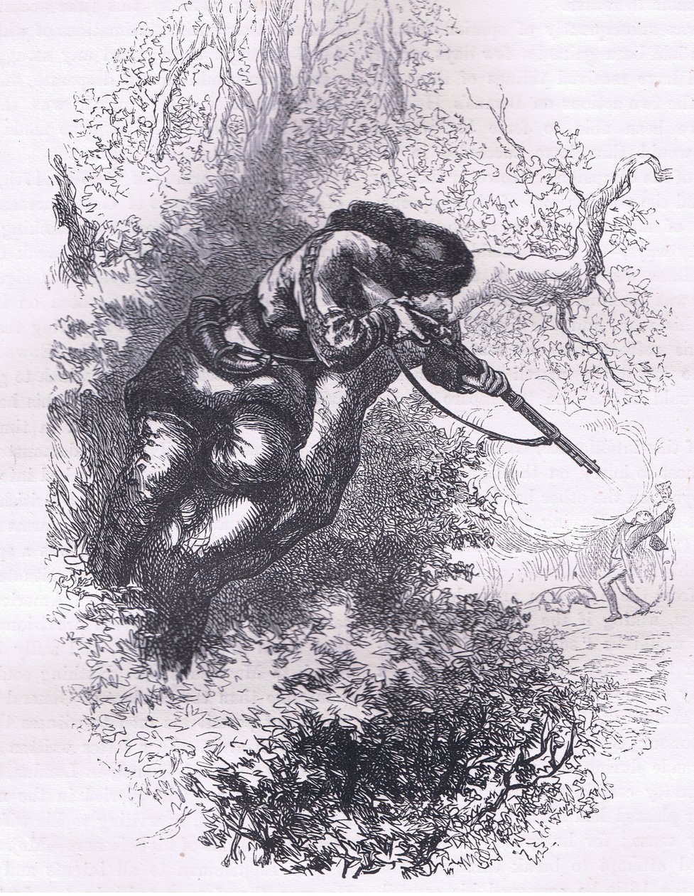 Amerikanischer Scharfschütze auf einem Baum, Illustration aus Cassells Geschichte der Vereinigten Staaten, veröffentlicht von Cassell, Petter & Galpin, ca. 1900 von American English school