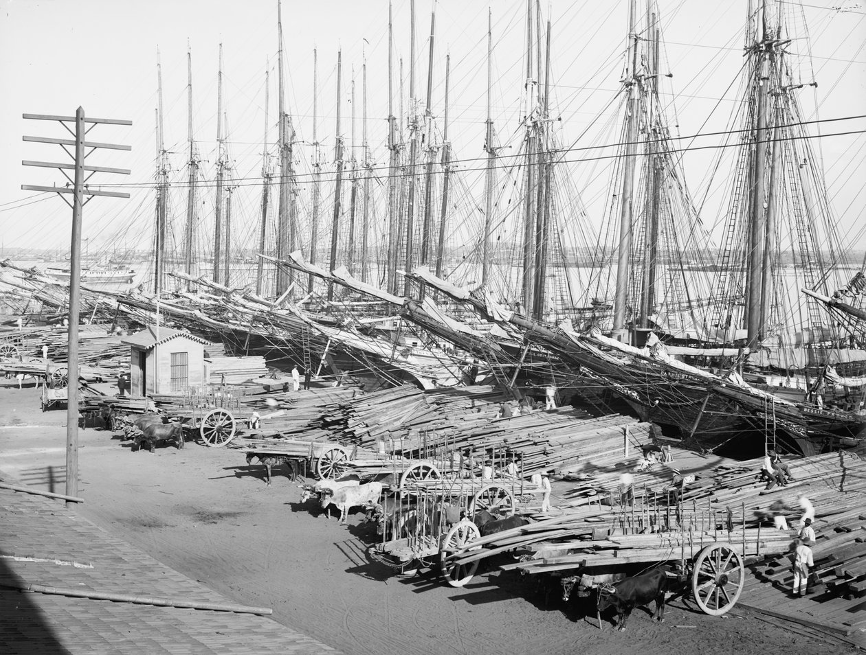 Muelle Tallapiedras, Havanna, ca. 1904 von American Photographer