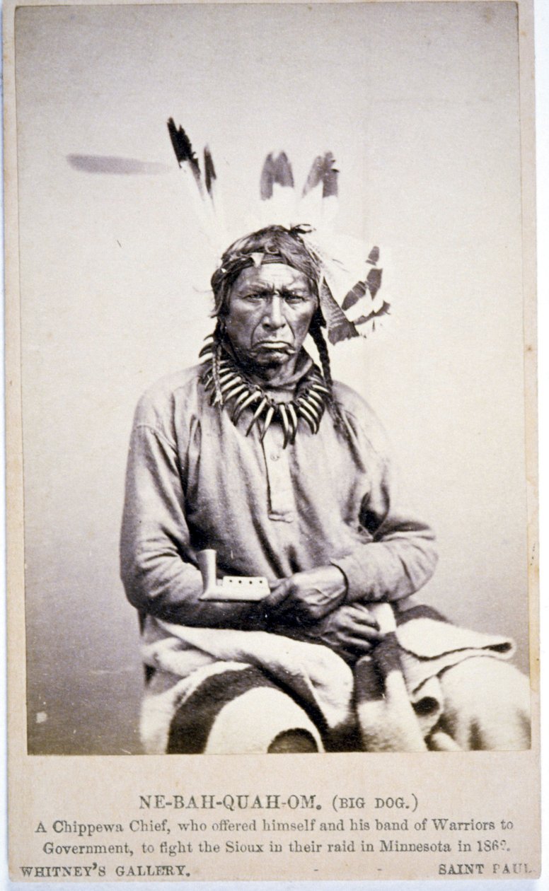 NE-BAH-QUAH-OM, Großer Hund, Chippewa-Häuptling, bot an, in Minnesota gegen die Sioux zu kämpfen von American Photographer