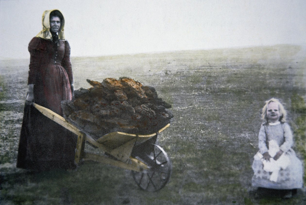 Pionierfrau sammelt Rinderdung, Kansas, ca. 1880 von American Photographer