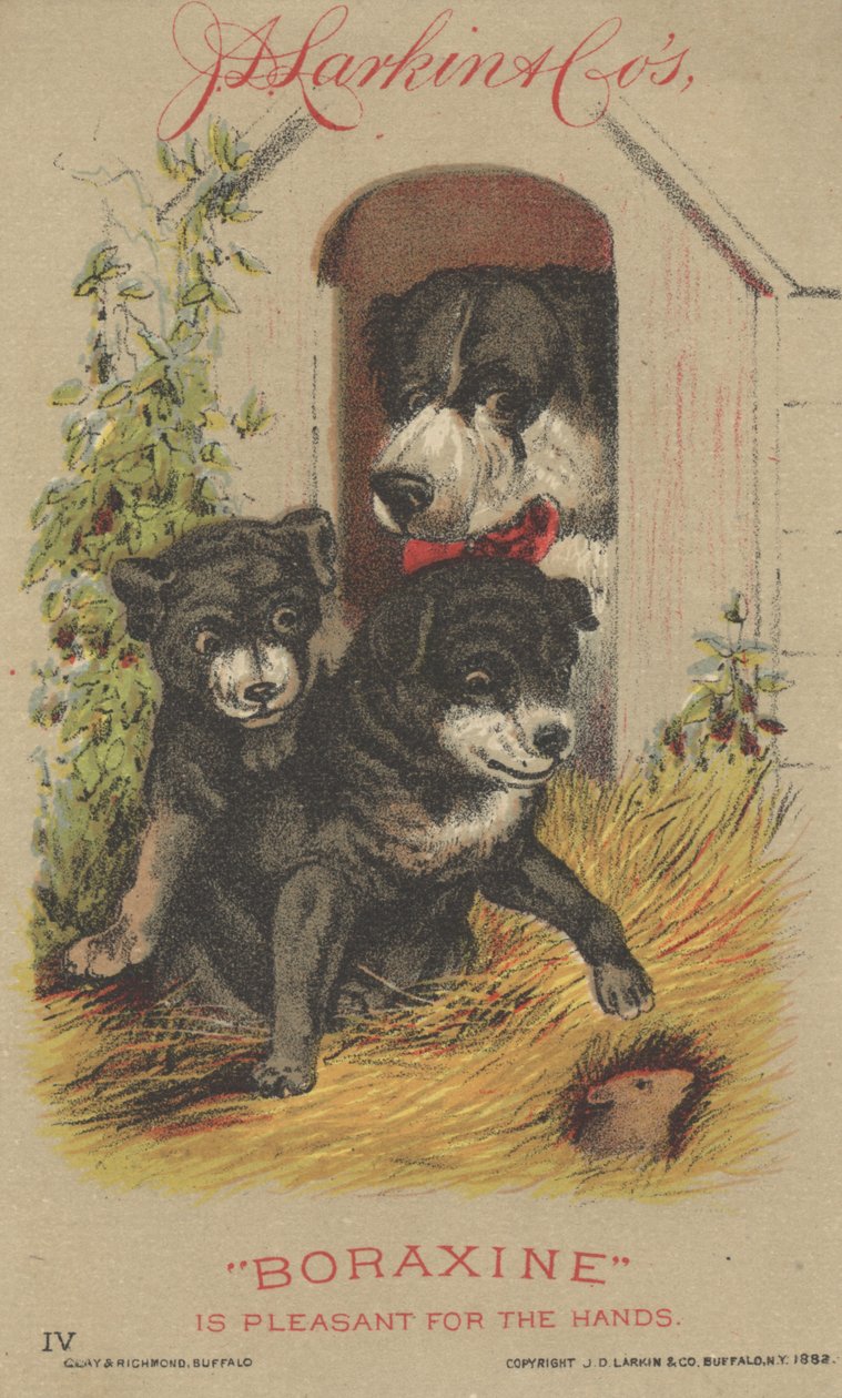 Werbung für J. D. Larkin & Cos Boraxine, 1882 von American School