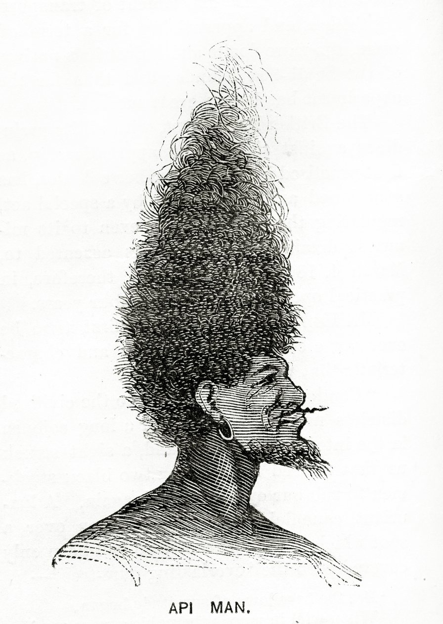 Api-Mann, Illustration aus Appletons Journal, 4. Mai 1872 von American School